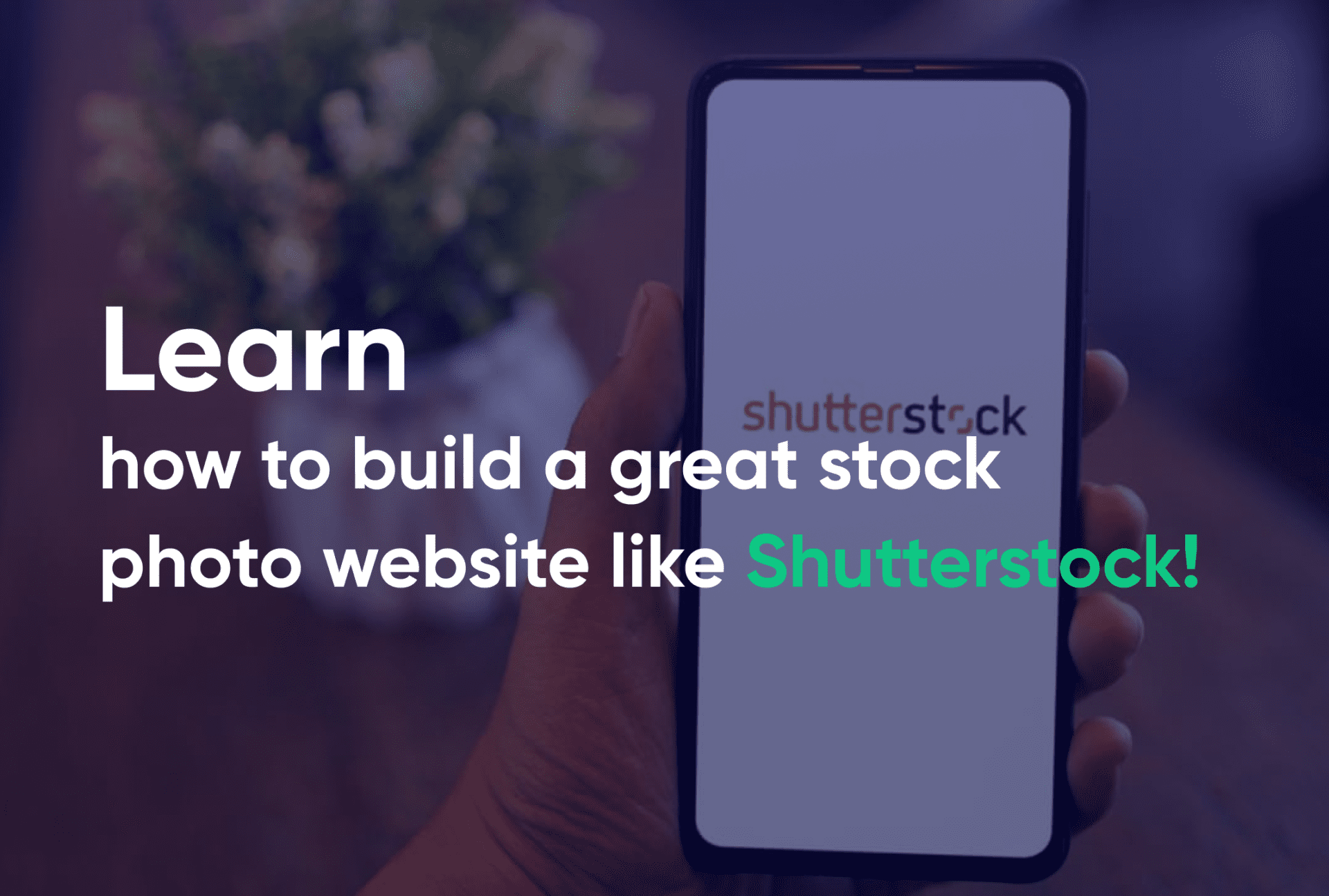 Learn how to build a great stock photo website like Shutterstock